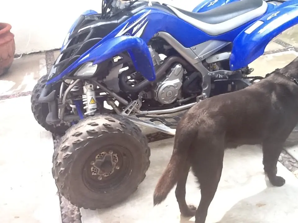 quad