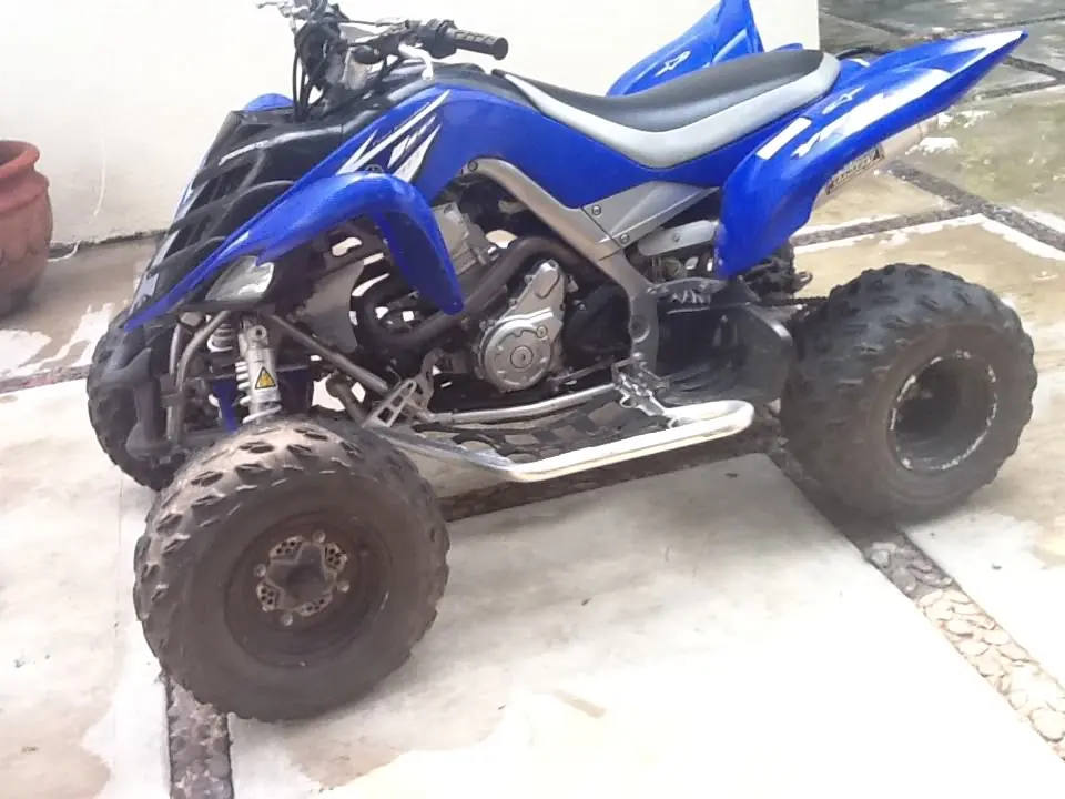 raptor
