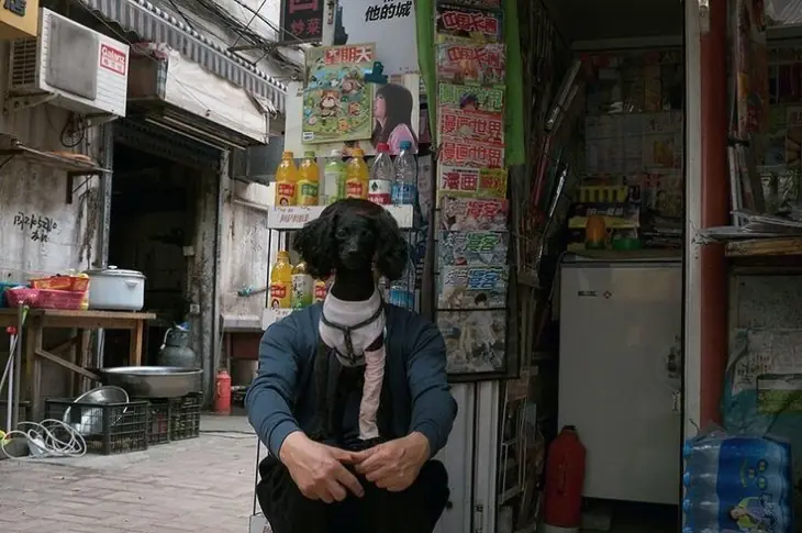 imagenes divertidas de perros