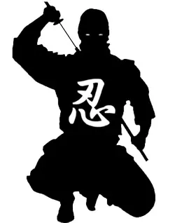 ninjutsu