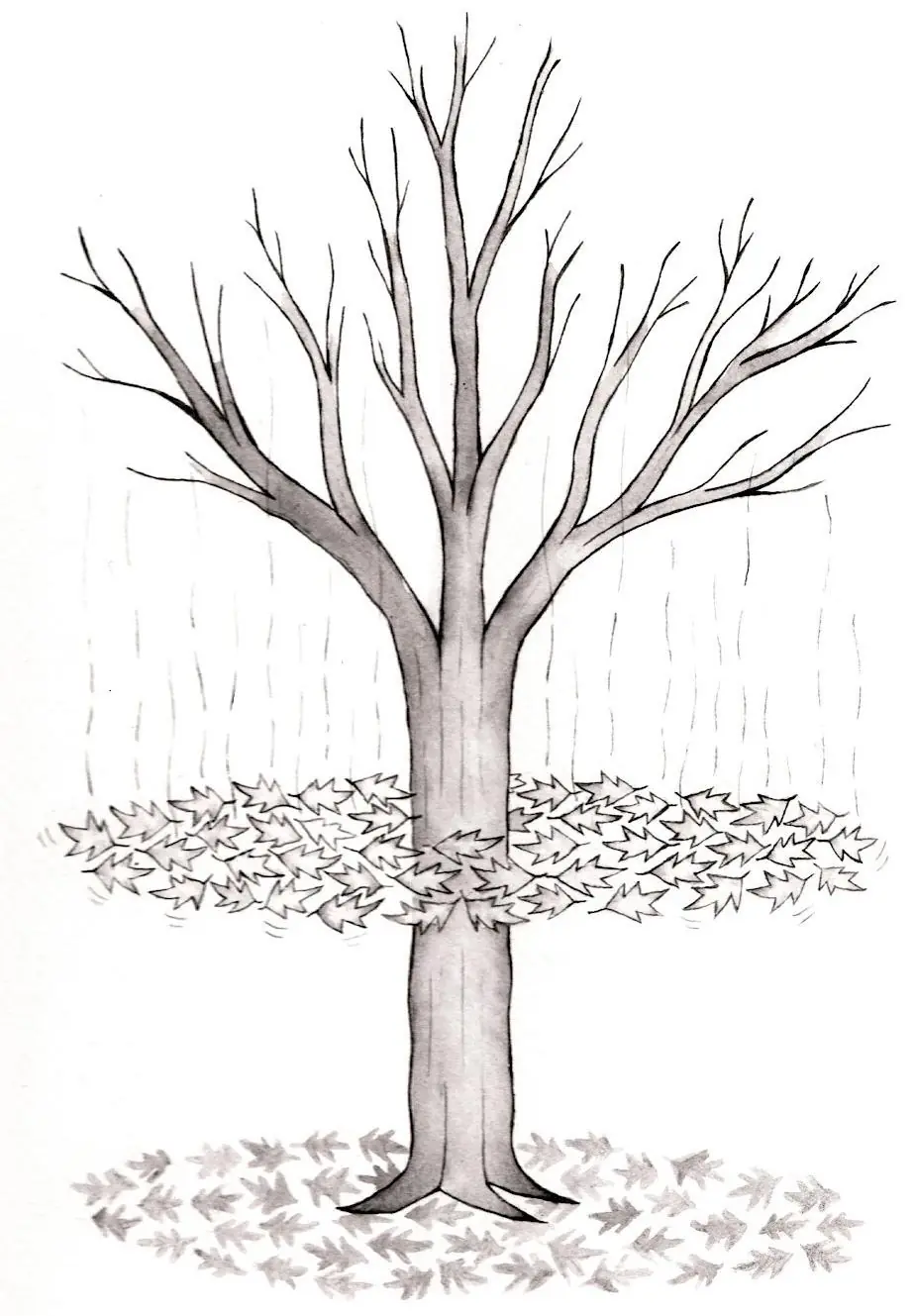 imaginacion imaginacion