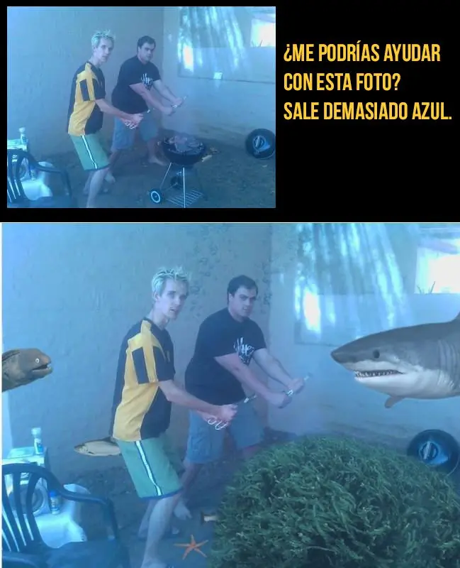 Estas personas pidieron ayuda en Internet y se los cagaron