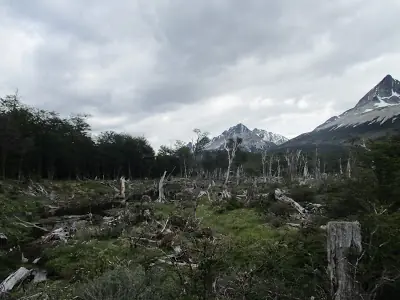 fin del mundo
