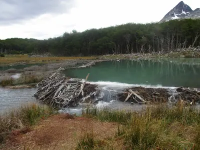Visite el fin del mundo y te lo muestro