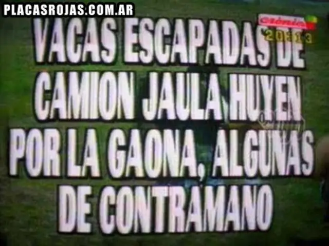 humor argento