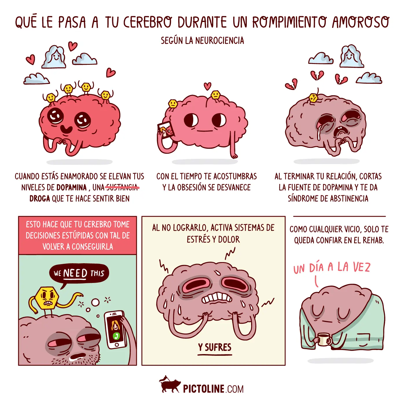 explicados