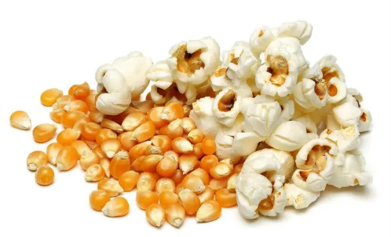 El Curioso origen de las Palomitas de Maíz (Pochoclos)