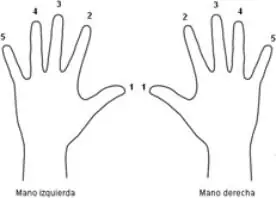tutoriales