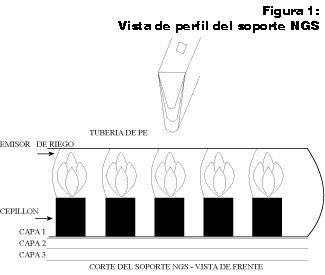 El Nuevo Sistema de Cultivo NGS