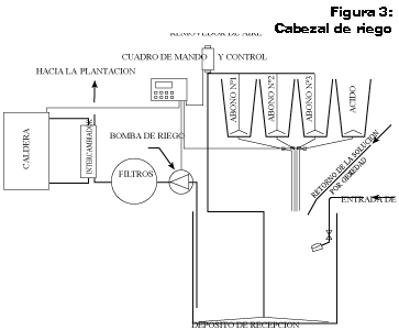 sistema de cultivo