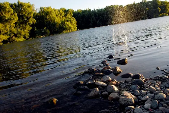 Rio Negro