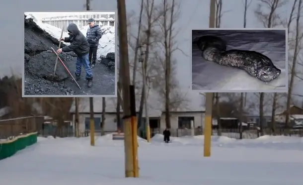 Encuentra un posible embrión vivo d dinosaurio en Kazajistán