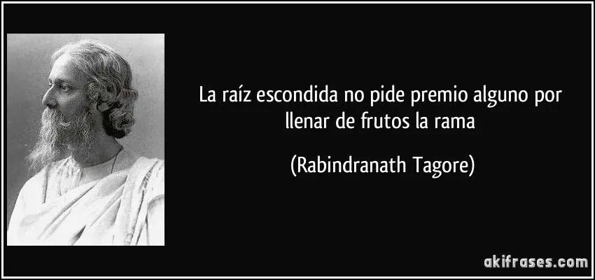 frases frases