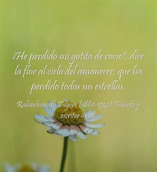 48 frases 48 frases