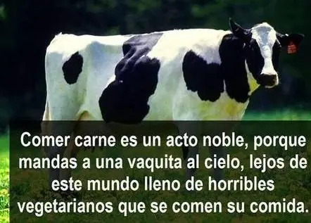 Divertidas