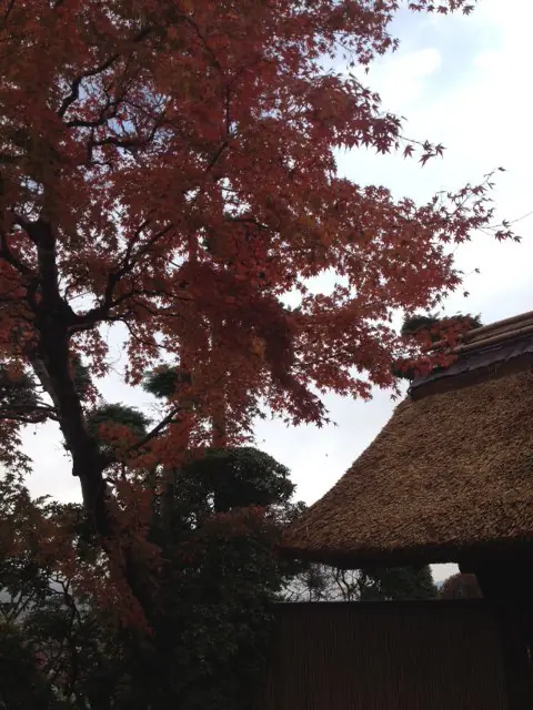 japon
