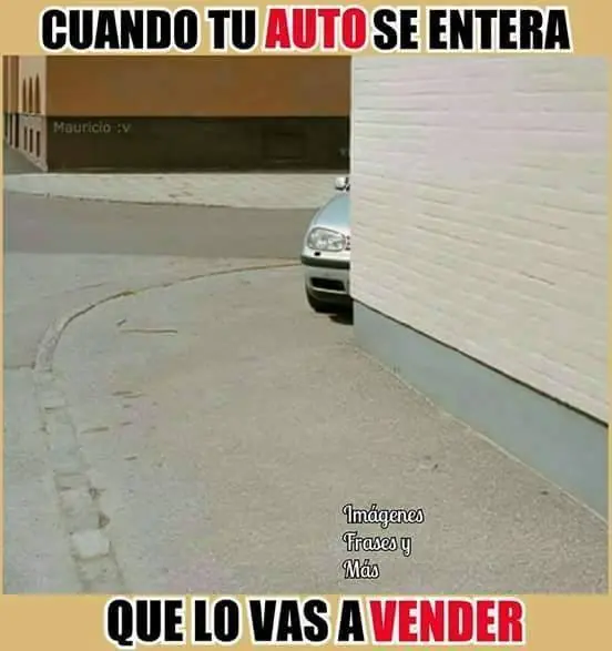 taringueros