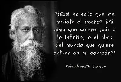 citas citas