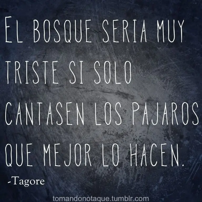 citas citas