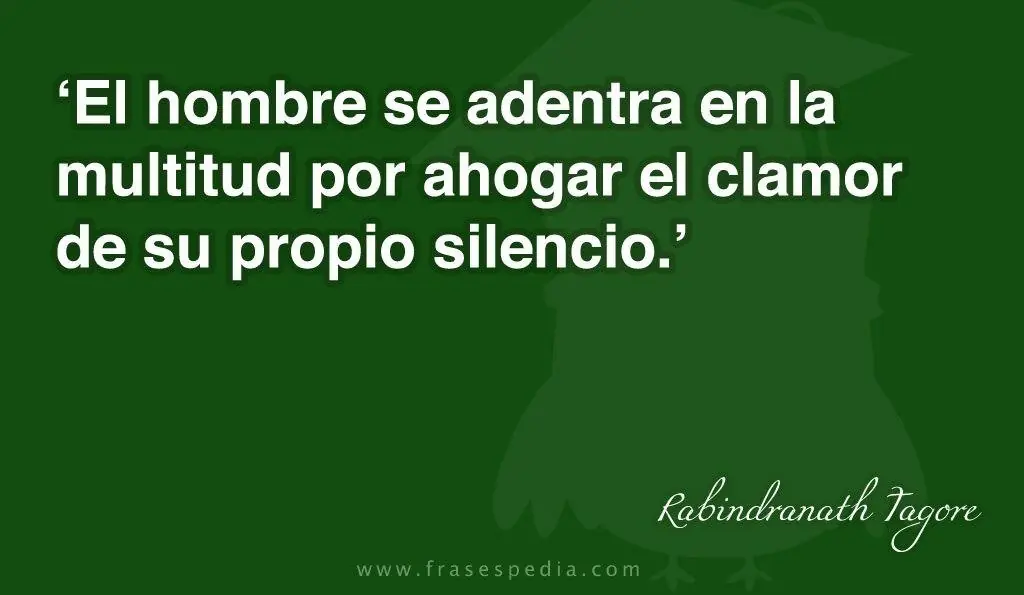 citas citas