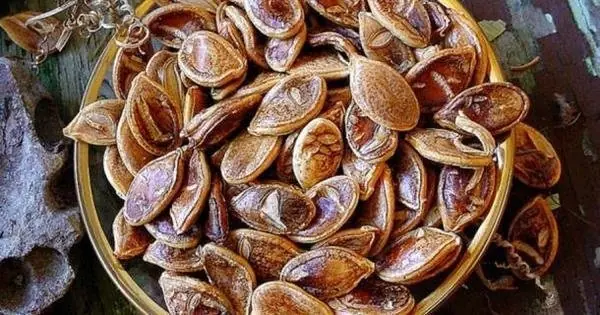 verdura