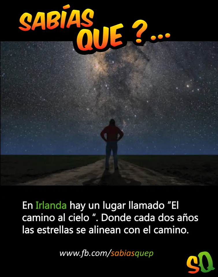 Disfruta