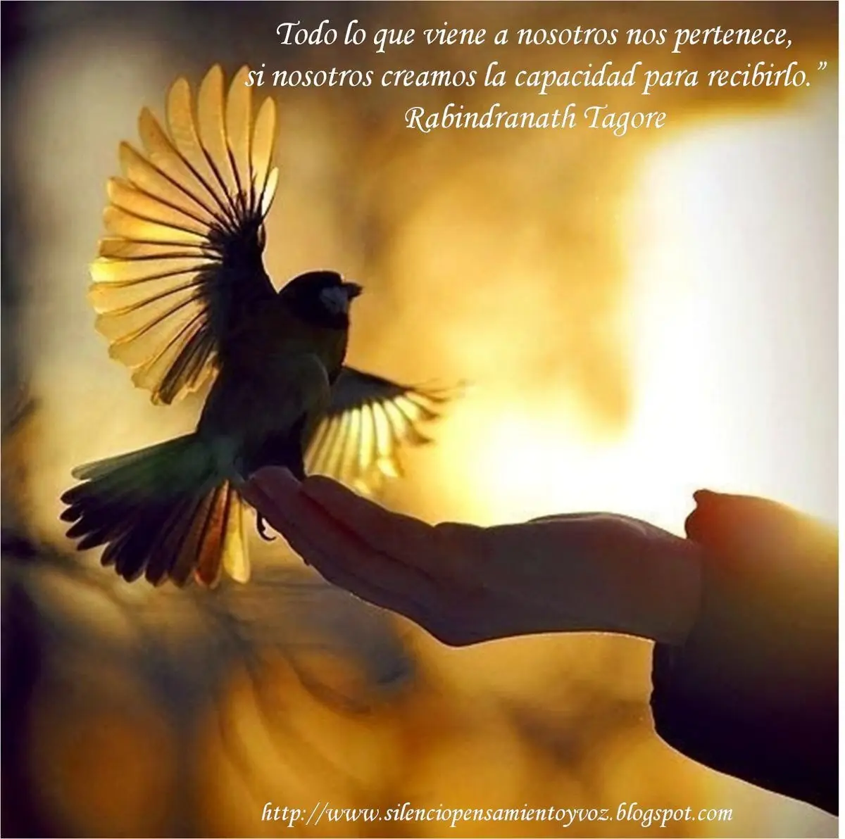 frases frases