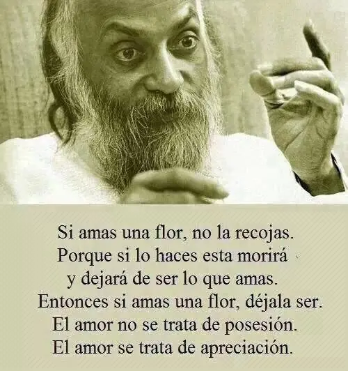 desarrollo humano desarrollo humano