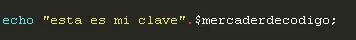 programador programador