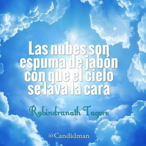 frases frases