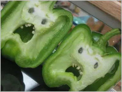 miedo
