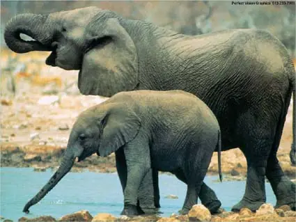 madres
