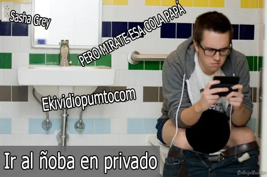Cosas que los linces hacemos en público vs en privado.