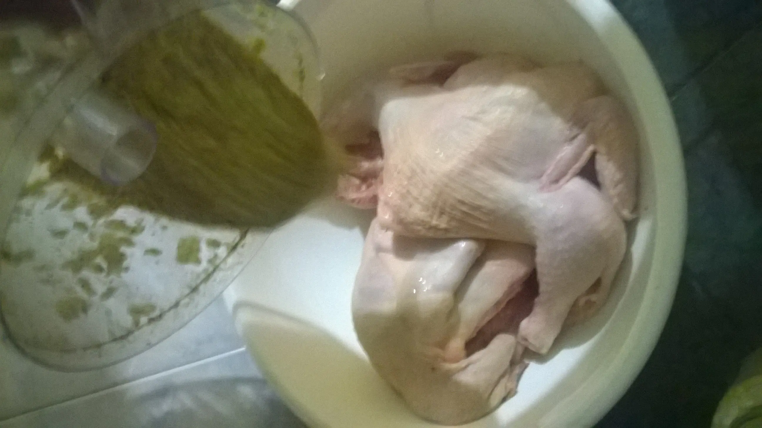 Pollo Pollo