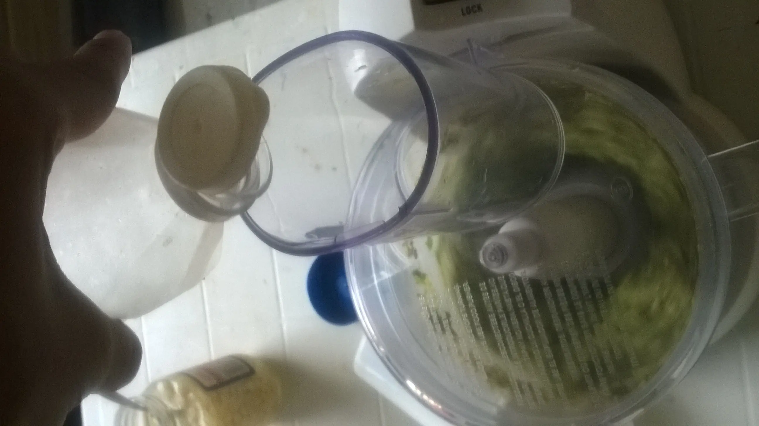 Pero mira como están estas pechugas papá!! [Foto Receta]