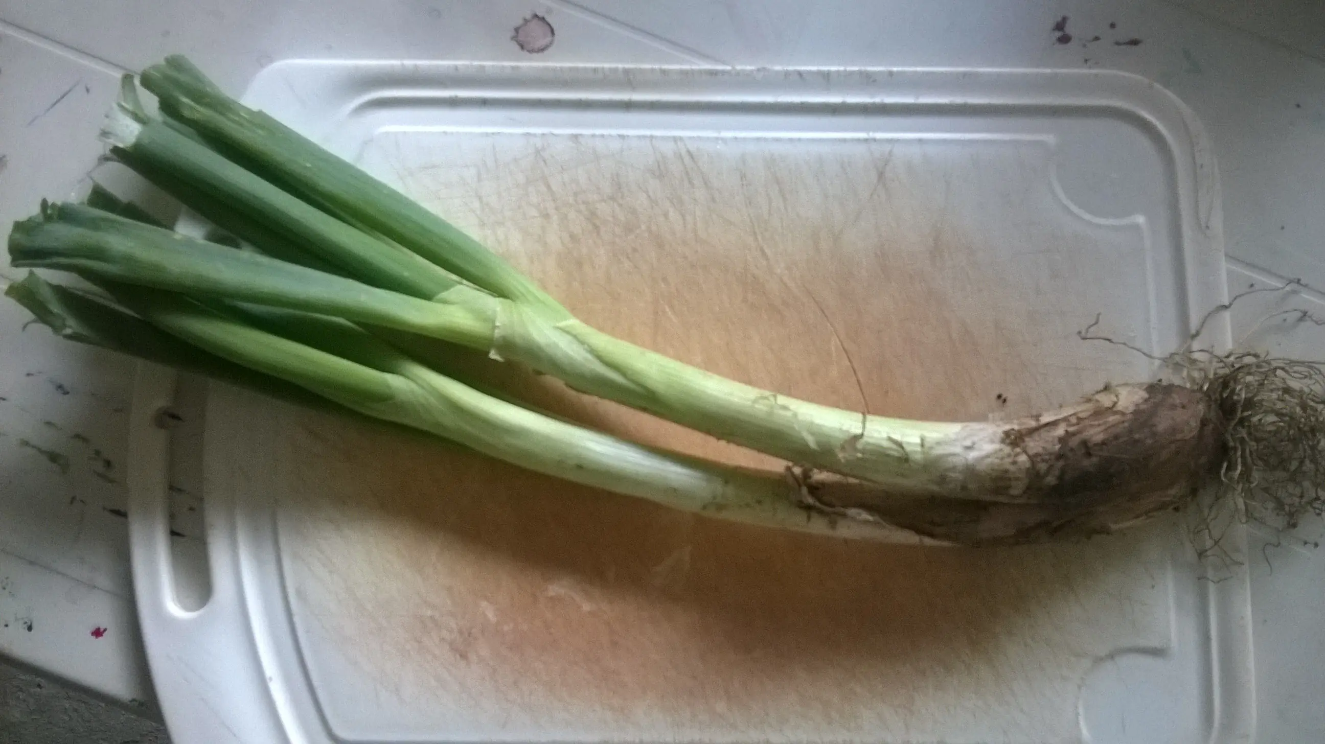 Pero mira como están estas pechugas papá!! [Foto Receta]