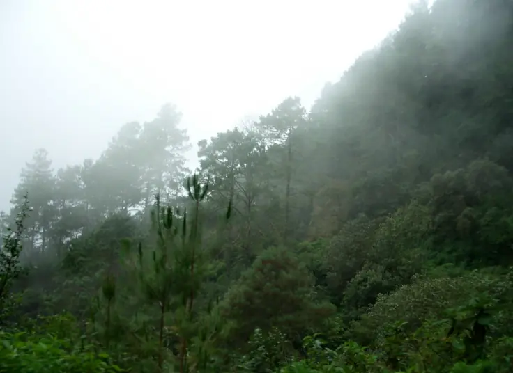 mexico