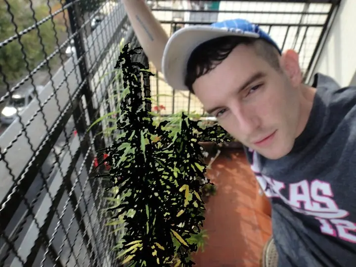 Skater