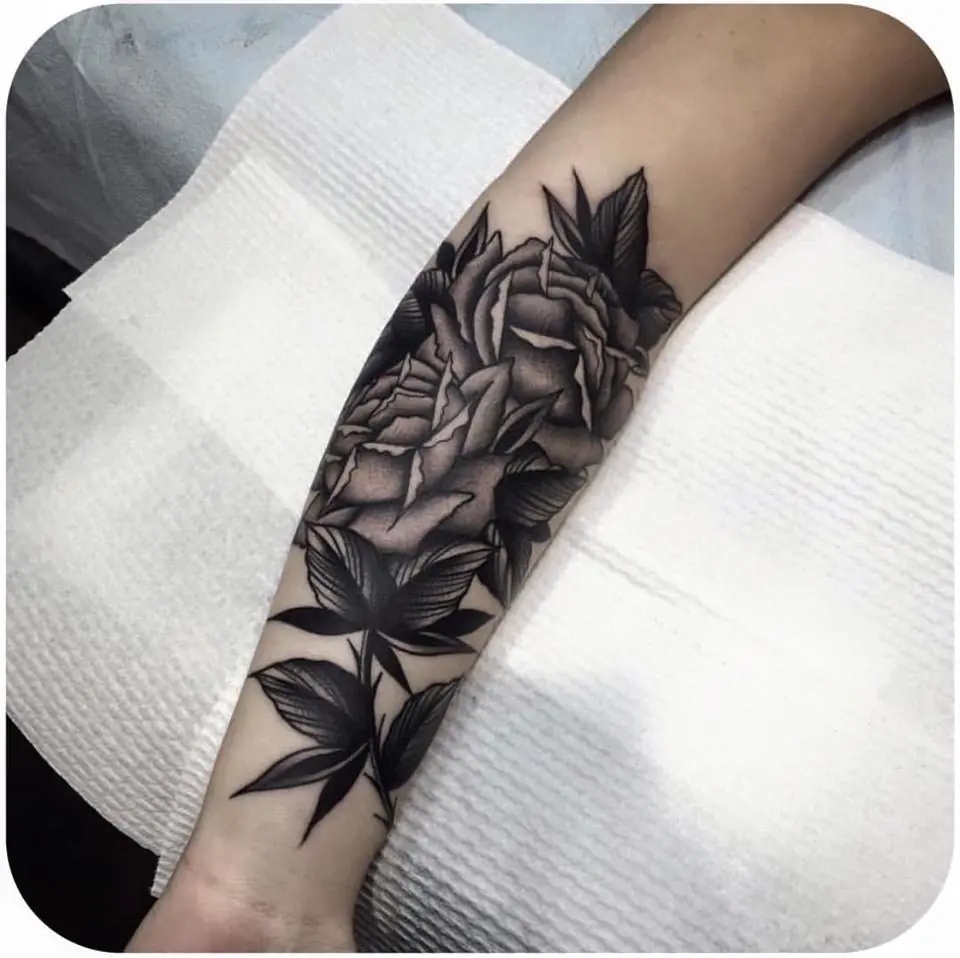 disenos