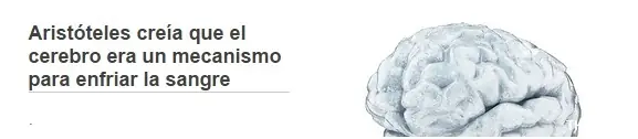 Lo que quizás no sabías del cerebro Lo que quizás no sabías del cerebro