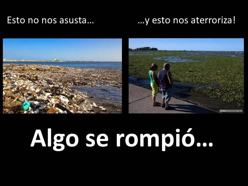 Te cuento la posta sobre la "Invasión de Camalotes" pasa!