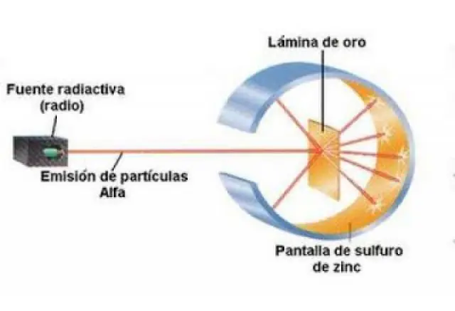 taringa taringa