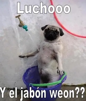 memes