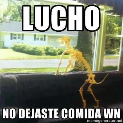 Son el alma de la casa, lince (mascotas)