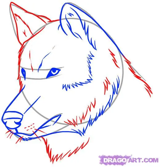 dibujar