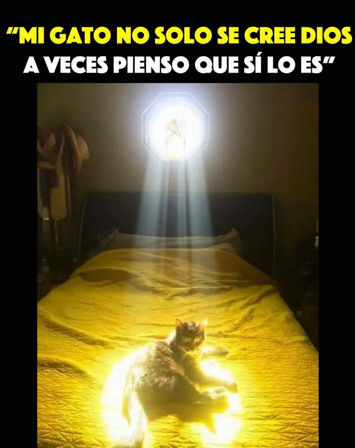 Humor de Lunes