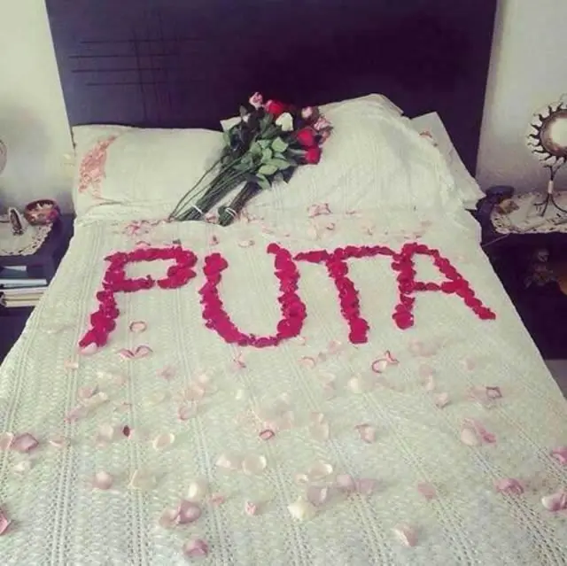 imagenes divertidas