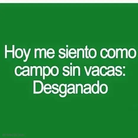 imagenes divertidas