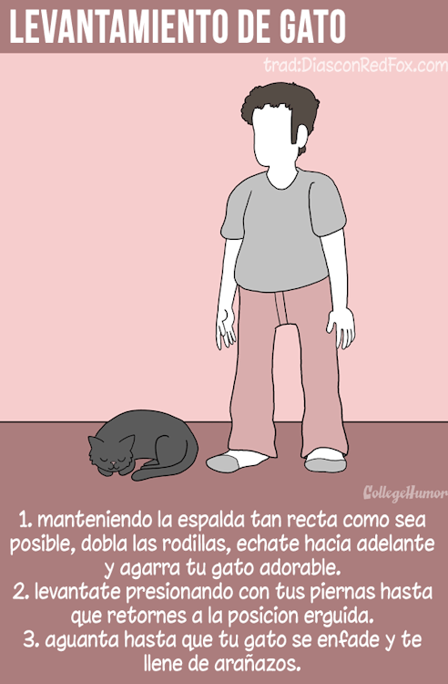 6 ejercicios para el taringuero promedio