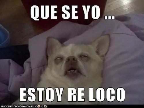reite un rato lince